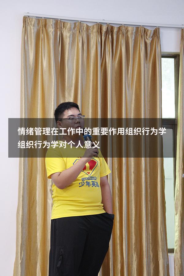 情绪管理在工作中的重要作用 组织行为学（组织行为学对个人意义）